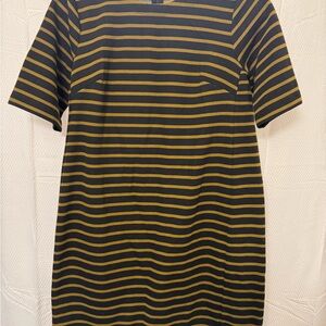 LOFT Black and Gold Striped Mini Dress